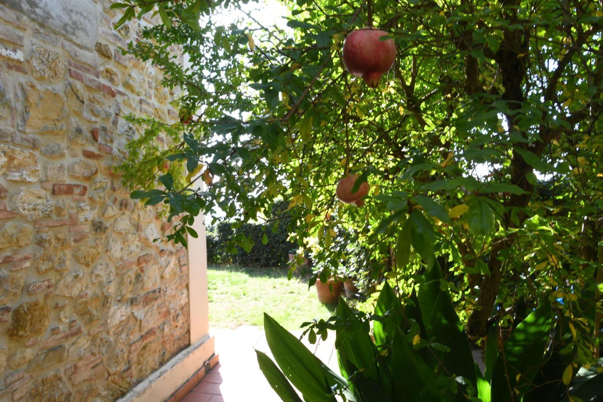 Podere Le Monache 蒙塔约内 外观 照片
